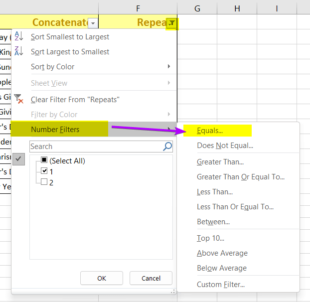 Using FILTER Command to Find Duplicates in Column and Delete Row in Excel