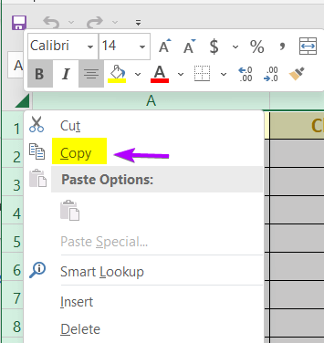Use COPY Command to Copy a Formula in Excel to Another Sheet