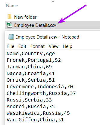 A CSV File Opened in Notepad