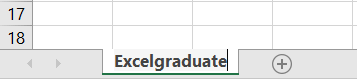 Rename a Worksheet in Excel