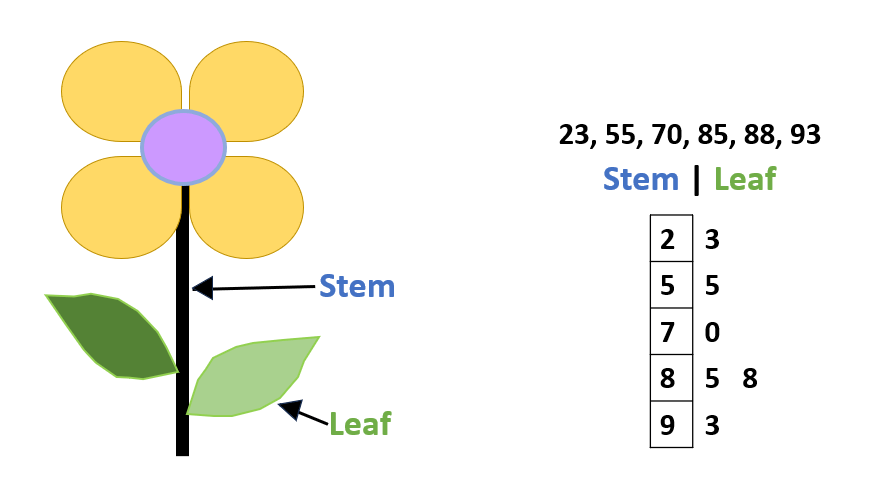 What is a Stem and Leaf Plot