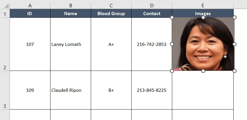 VBA final output to insert picture