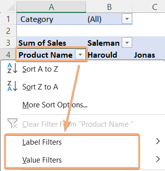 Filters options in Pivot Table in Excel