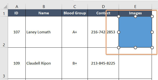 Drawing rectangle shape to insert picture in cell