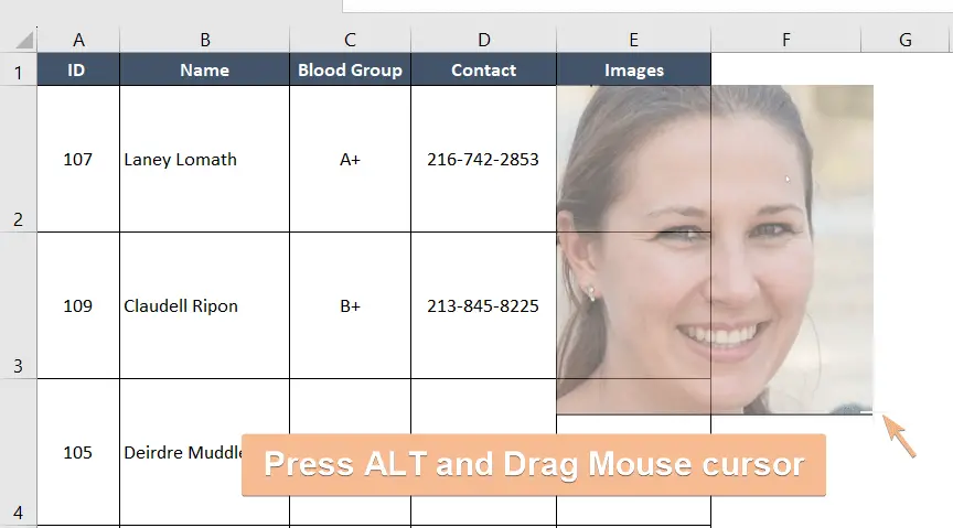 Inserting image alt key+drag mouse to cell using keyboard shortcut