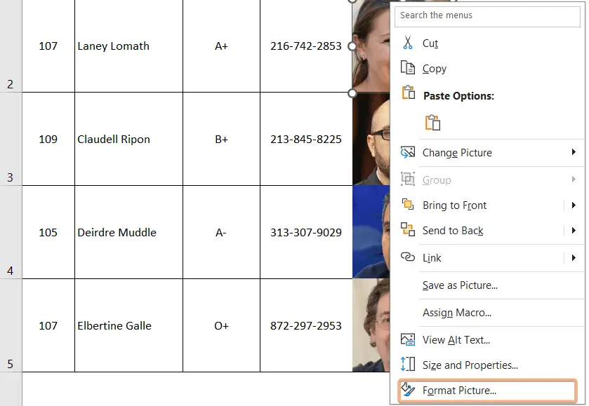 Again format picture to cell using keyboard shortcut