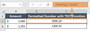 How to Use TEXT Function in Excel [4 Examples]