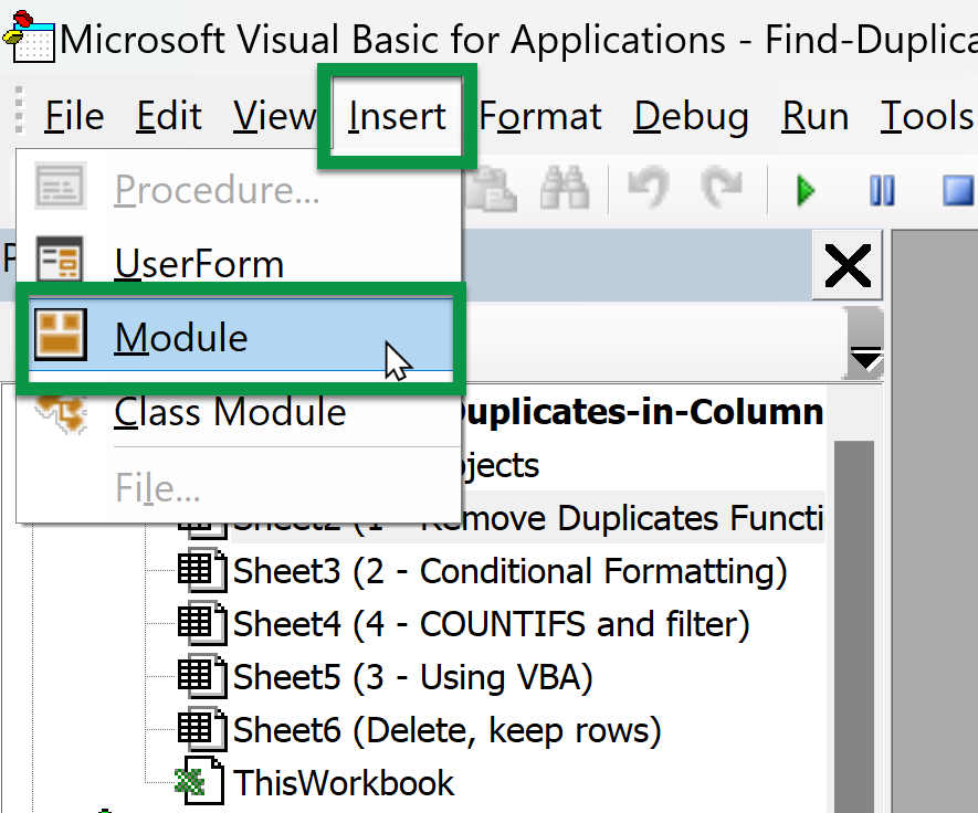 Insert a VBA Module